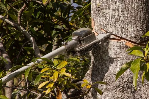 Rubrik_Naturshcutz_Biodiversitaet_-_Wald_-_Kettensaege-pixabay-chainsaw-945411__340